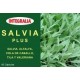 SALVIA PLUS 60 CAP
