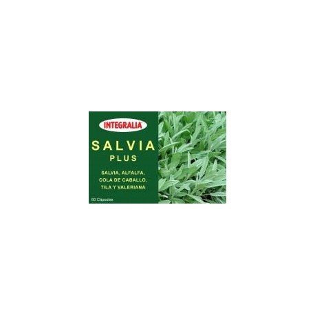 SALVIA PLUS 60 CAP