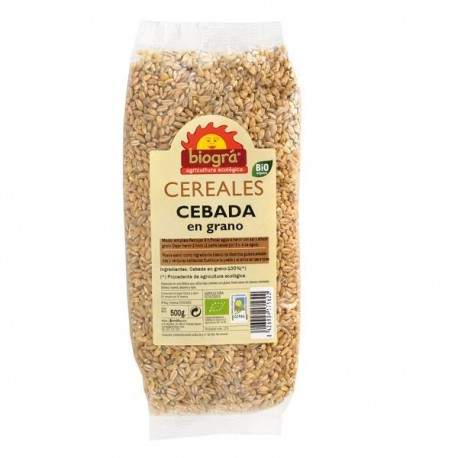 CEBADA EN GRANO