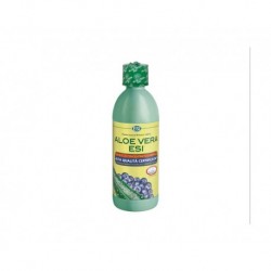 ALOE VERA ZUMO MIRTILO (500ML.)