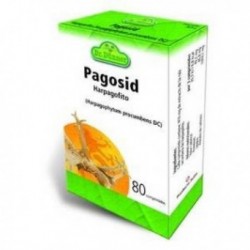 PAGOSID DR. DUNNER 80 COMPRIMIDOS