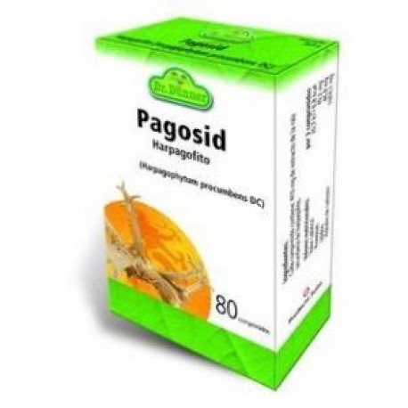 PAGOSID DR. DUNNER 80 COMPRIMIDOS