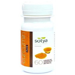 Curcumin-Caps 60-550mg