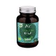 ALGAS KELP BIO