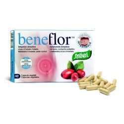 BENEFLOR CAPSULAS (BACIL)