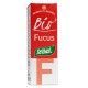 PLANTAS EXTO.FUCUS BIO