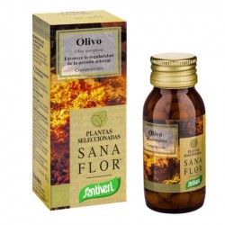 OLIVO comprimidos