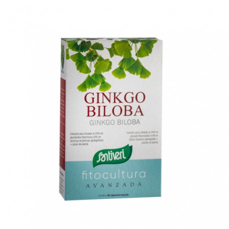 PLANTAS COMPR.GINKGO BILOBA