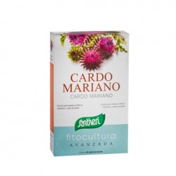 PLANTAS CAPSULAS CARDO MARIANO