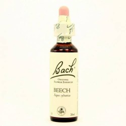 BACH Nº3 BEECH / HAYA