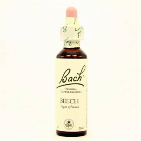 BACH Nº3 BEECH / HAYA