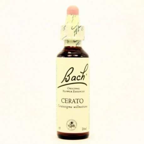 BACH Nº5 CERATO / CERATOSTIGMA