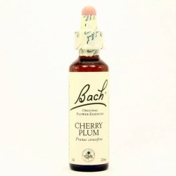 BACH Nº6 CHERRY PLUM / CERASIFERA