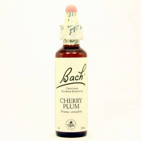 BACH Nº6 CHERRY PLUM / CERASIFERA