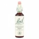 BACH Nº7  CHESNUT BUD / CASTAÑO