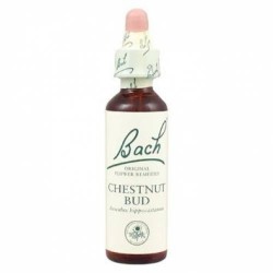 BACH Nº7  CHESNUT BUD / CASTAÑO