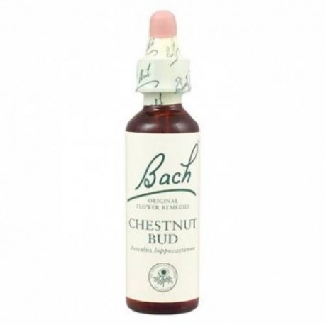 BACH Nº7  CHESNUT BUD / CASTAÑO