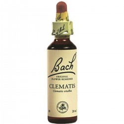 BACH Nº 9 CLEMATIS / CLEMATIDE