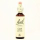 BACH Nº 10 CRAB APPLE / MANZANO SILVESTRE