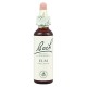 BACH Nº 11 ELM / OLMO