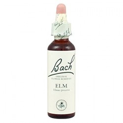 BACH Nº 11 ELM / OLMO
