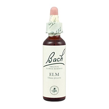 BACH Nº 11 ELM / OLMO
