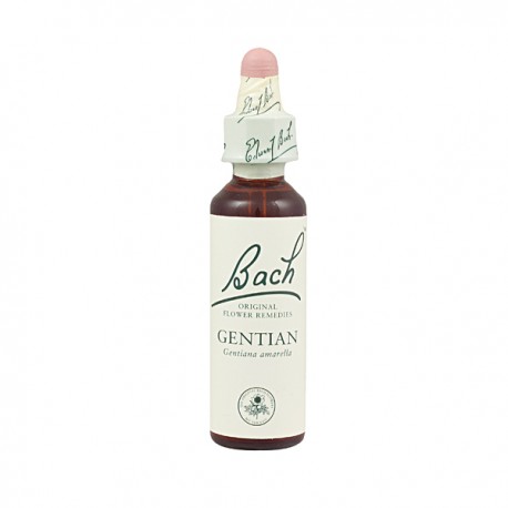 BACH Nº 12 GENTIAN / GENCIANA