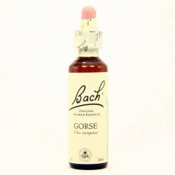 BACH Nº 13 GORSE / AULAGA