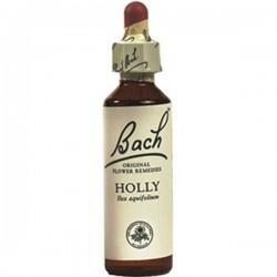 BACH Nº 15 HOLLY / ACEBO