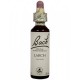 BACH Nº 19 LARCH / ALERCE