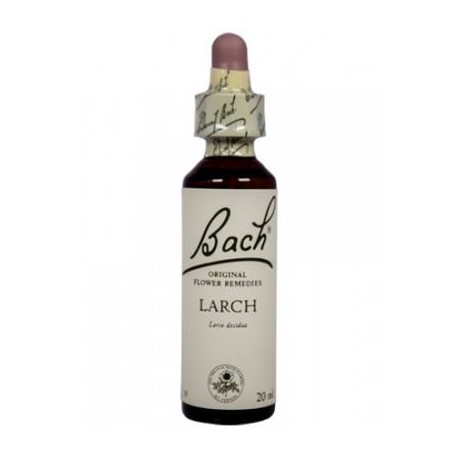 BACH Nº 19 LARCH / ALERCE