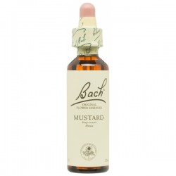 BACH Nº 21 MUSTARD / MOSTAZA