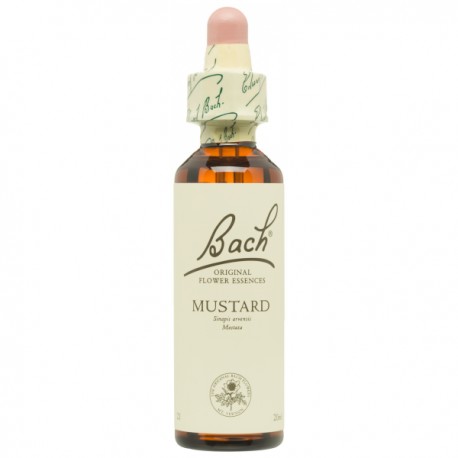 BACH Nº 21 MUSTARD / MOSTAZA