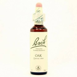 BACH Nº 22 OAK / ROBLE