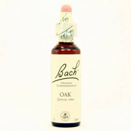 BACH Nº 22 OAK / ROBLE