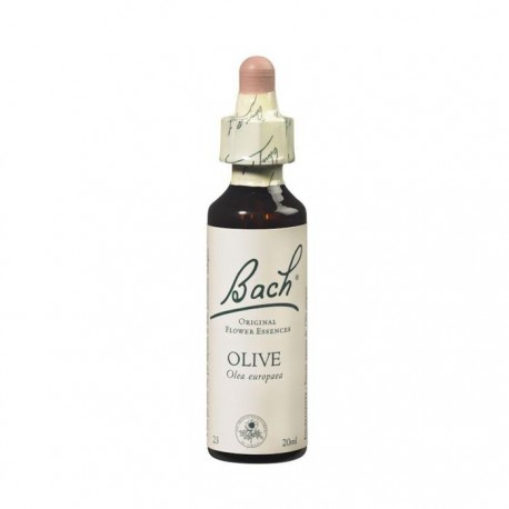 BACH Nº 23 OLIVE / OLIVO