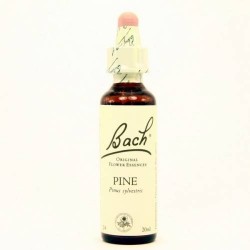 BACH Nº 24 PINE / PINO