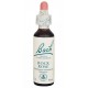 BACH Nº 26  ROCK ROSE / HELIANTEMO