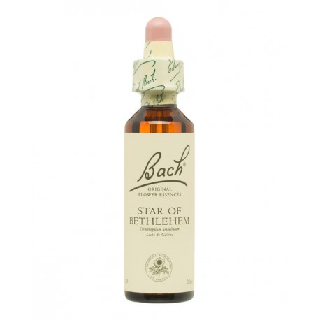 BACH Nº 29 STAR OF BETHELEM / ESTRELLA DE BELEN