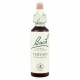 BACH Nº 31 VERVAIN / VERBENA