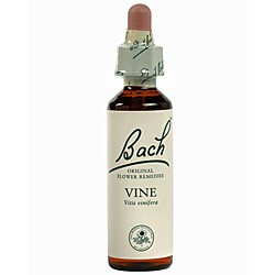 BACH Nº 32 VINE / VID