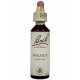 BACH Nº 33 WALNUT / NOGAL