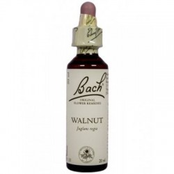 BACH Nº 33 WALNUT / NOGAL