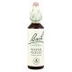 BACH Nº 34  WATER VIOLET / VIOLETA DE AGUA