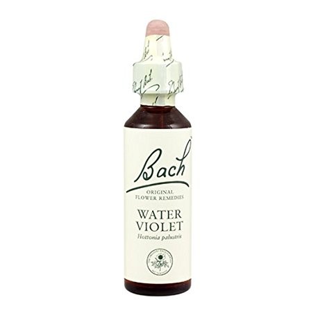 BACH Nº 34  WATER VIOLET / VIOLETA DE AGUA