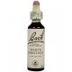 BACH Nº 35 WHITE CHESNUT / CASTAÑO BLANCO