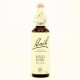 BACH Nº 37 WILD ROSE / ROSA SILVESTRE