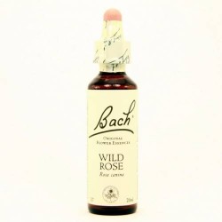 BACH Nº 37 WILD ROSE / ROSA SILVESTRE