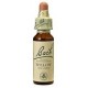 BACH Nº 38 WILLOW / SAUCE