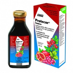 PROTECOR  JARABE 250 ML SALUS